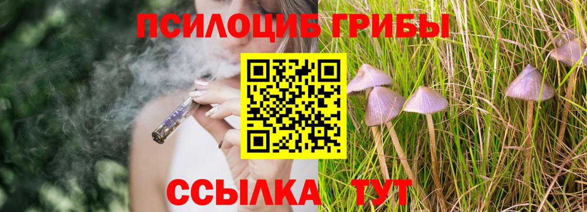 Псилоцибиновые грибы Cubensis  Вход с VPN  Псилоцибиновые грибы GOLDEN TEACHER  Нарткала 