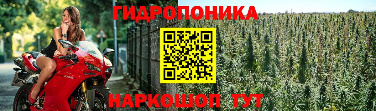 Марихуана Ganja  Каннабис AK-47  Нарткала  Вход с VPN  Бошки марихуана Ganja 